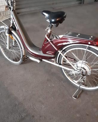 Bici elettrica