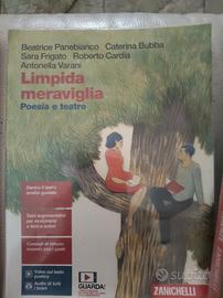libri scolastici: italiano ITIS Cardano 
