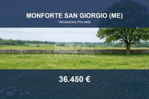 Immobile in asta di 18230 m² a Monforte San Giorgi