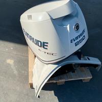 Evinrude e-tec 250 cv