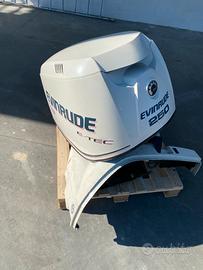 Evinrude e-tec 250 cv