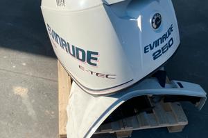 Evinrude e-tec 250 cv