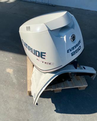 Evinrude e-tec 250 cv