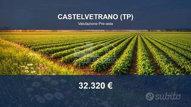 Immobile in asta di 34584 m² a Castelvetrano