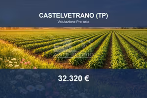 Immobile in asta di 34584 m² a Castelvetrano