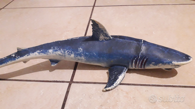 Animali marini squalo delfino orca balena