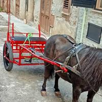 calesse e selle per pony