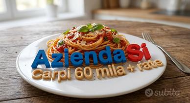 AziendaSi ristorante bar Carpi -ANCHE RATE