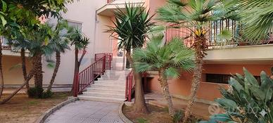Appartamento - Trabia