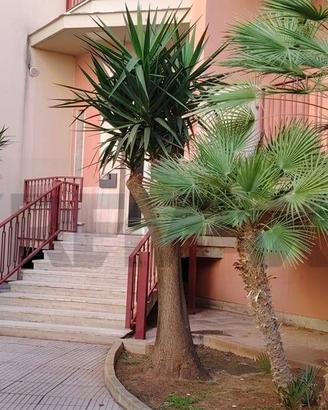Appartamento - Trabia