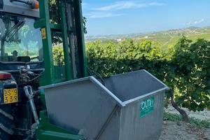 Muletto per uva Olmi/brenton