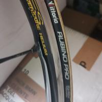 copertoncini Vittoria Rubino pro