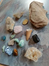 Fossili e pietre da collezione - prezzo 7 EUR