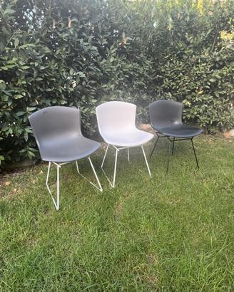 Knoll Sedia Harry Bertoia in polipropilene