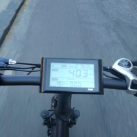 Bici elettrica