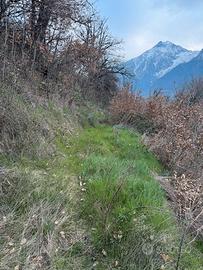 Terreno Agricolo da Orto