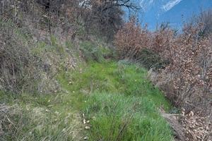 Terreno Agricolo da Orto