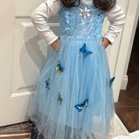 Vestito Carnevale Principessa/Cenerentola