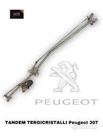 TANDEM TERGICRISTALLO PEUGEOT 307 Berlina 2Â° Seri