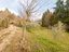 Immagine 27