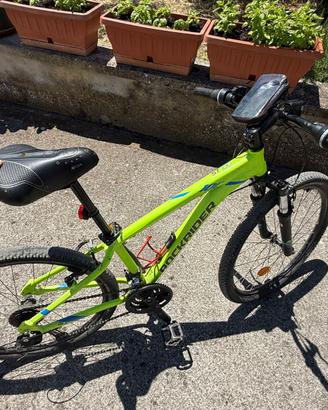 Bicicletta rockraider