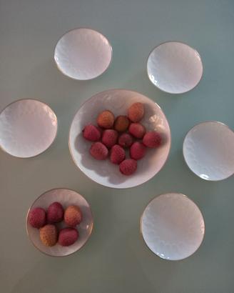 set porcellana Rosenthal Germany