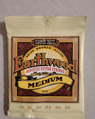 corde chitarra Acustica Ernie Ball