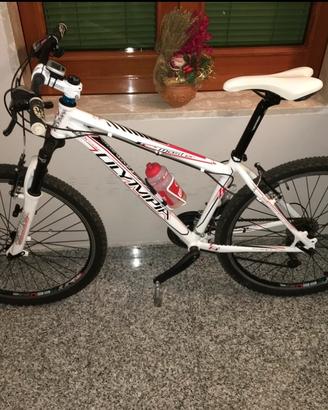 Bici - MTB