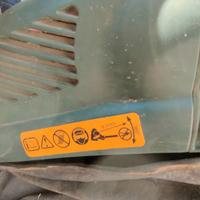 Aspira foglie a luce