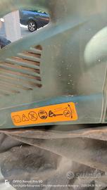 Aspira foglie a luce