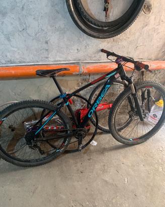 Orbea