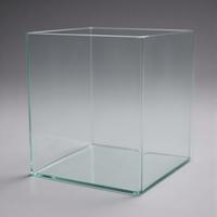 acquario vasca l’allestimento di acquari