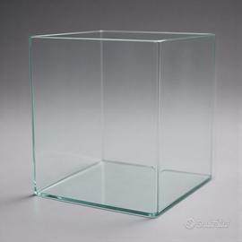 acquario vasca l’allestimento di acquari