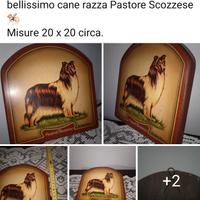 Quadretto raffigurante cane Pastore Scozzese 