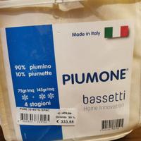 2 Piumoni Bassetti 4 stagioni 75 gr/mq e 145gr/mq