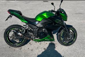 Kawasaki z