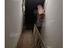 Immagine 13