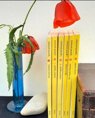 I grandi processi- collana in sei libri
