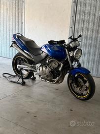 Honda hornet