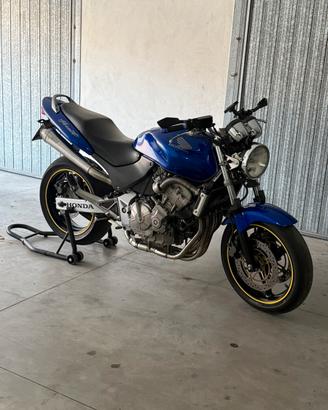 Honda hornet