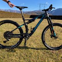 Mountain bike