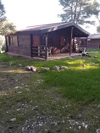 Appartamento in campagna