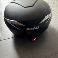 Bauletto Shad 39l e piastra