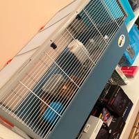 Gabbia per criceti e topolini Ferplast