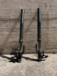 forcella triumph street triple 765rs  2024
