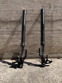 forcella triumph street triple 765rs  2024