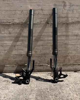 Materiale racing triumph street triple 765rs 