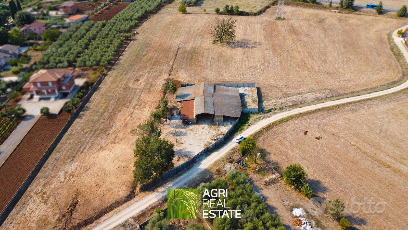 Proprietà agricola 3 HA con fabbricato e stalla - Vista 3