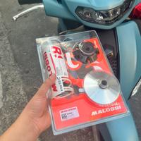 Variatore lavorato e rulli malossi liberty 50