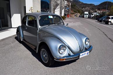 Volkswagen Maggiolino Winterbug ASI